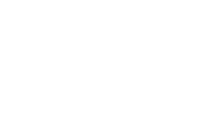 Vizimax